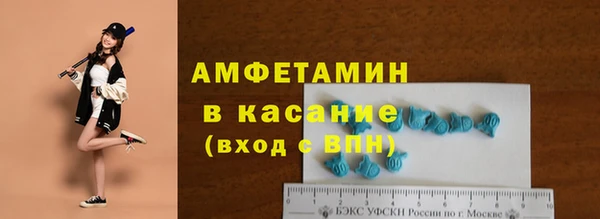 индика Алексин