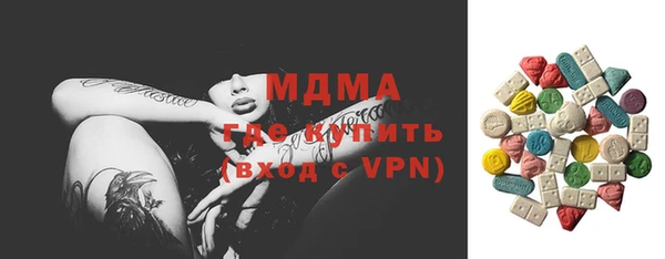 индика Алексин