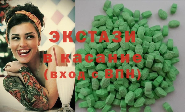индика Алексин