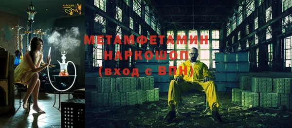 индика Алексин