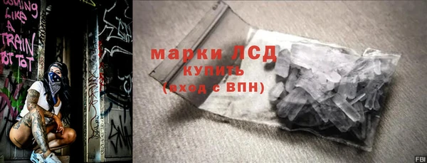 индика Алексин