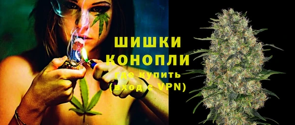 прущие крисы Алзамай