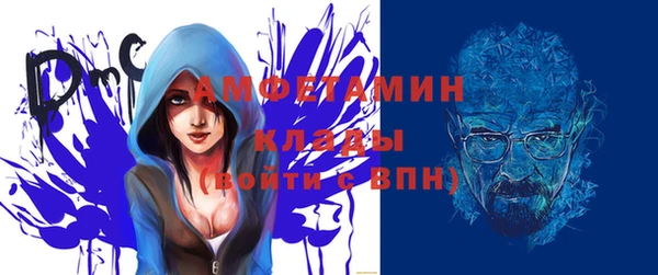 индика Алексин
