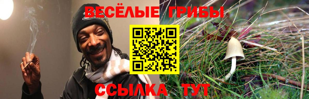 Галлюциногенные грибы Psilocybe  сколько стоит  Феодосия  Псилоцибиновые грибы прущие грибы  Вход с VPN 